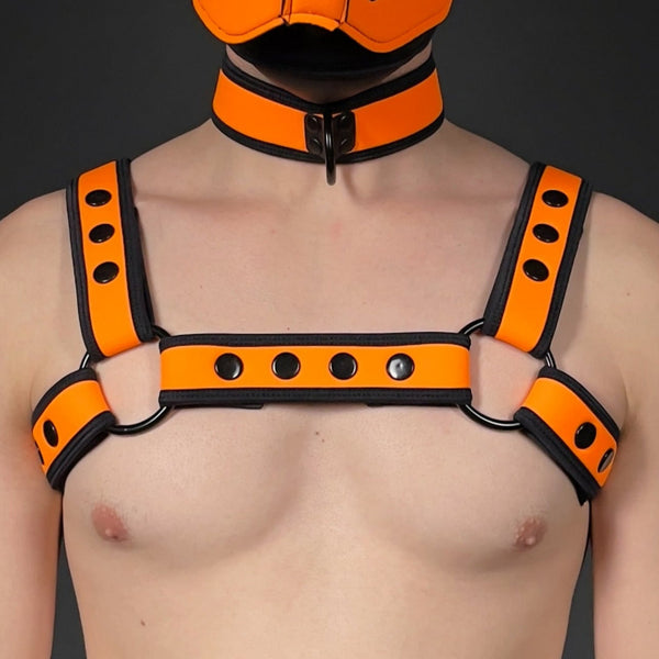 MR-S NEONPREN CARBON BULLDOG HARNESS ORN