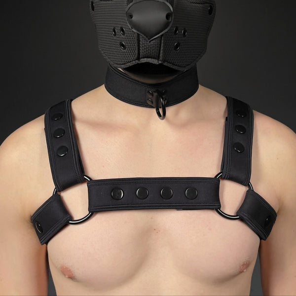 MR-S NEONPREN CARBON BULLDOG HARNESS BLK