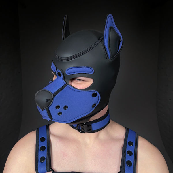 MR-S NEONPREN K-9 HOOD ROYAL