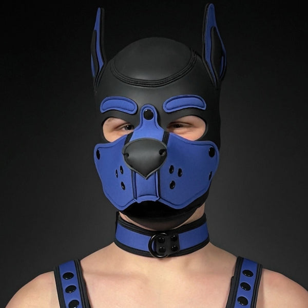 MR-S NEONPREN PUPPY COLLAR ROYAL